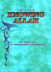 A few words on Knowing Allah