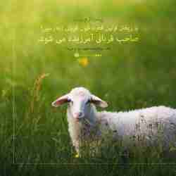 فضیلت قربانی کردن