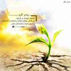 فضیلت عید فطر