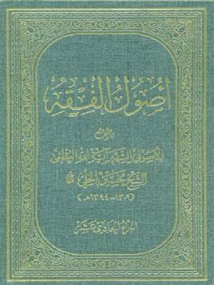 أصول الفقه/ الجزء 11