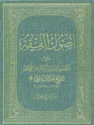 أصول الفقه/ الجزء 12