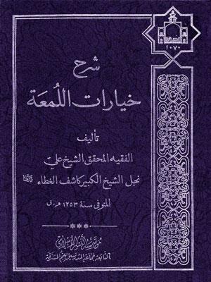 شرح خيارات اللمعة