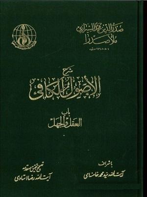 شرح أصول الكافي/ الجزء الأول