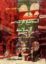 المجتمع في مصر الإسلامية من الفتح العربي إلى العصر الفاطمي/ الجزء 1