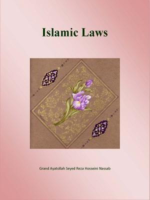 Islamic Laws Ijtihad and Taqlid