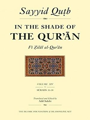 In the Shade of the Quran /Vol 14