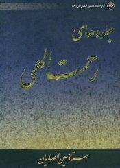 جلوه های رحمت الهی