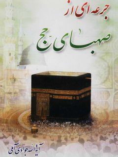 جرعه اى از صهباى حج