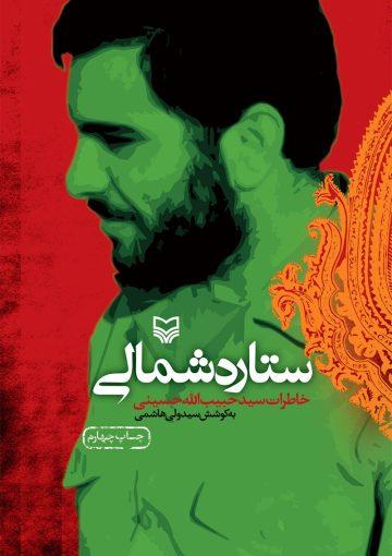 ستاره شمالی