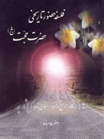 فلسفه حضور تاریخی حضرت حجت(عج)