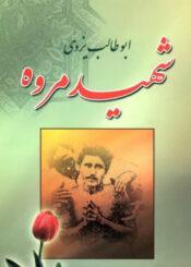 ابوطالب یزدی شهید مروه