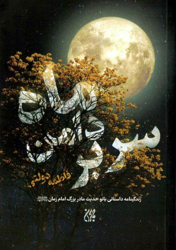 سر بر دامن ماه (زندگینامه داستانی بانو حدیث مادر بزرگ امام زمان (عجّل الله فرجه))