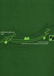 حجت موجه