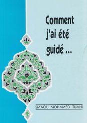 COMMENT J'AI ETE GUIDE