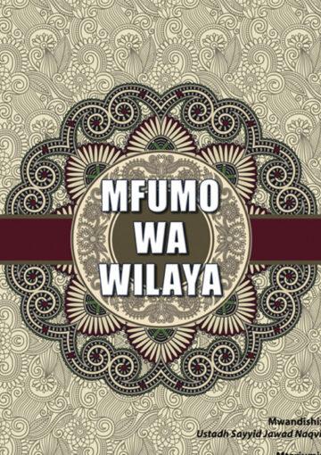 Mfumo wa Wilaya