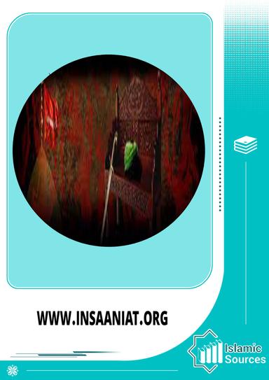 www.insaaniat.org