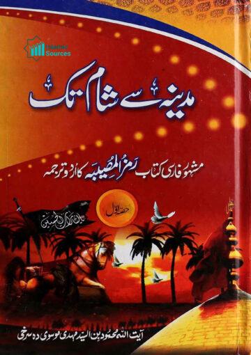 مدینہ سے شام تک ج۱