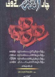 چار اللہ کے ولی