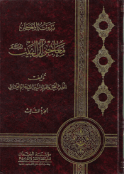 مدينة المعاجز آل البيت/ الجزء الثالث