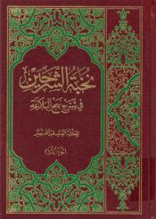 نخبة الشرحين في شرح نهج البلاغة/ الجزء الأول