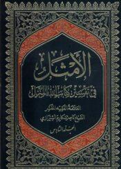 الأمثل في تفسير كتاب الله المنزل الجزء 6