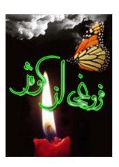 فروغی از کوثر: زندگینامه حضرت فاطمه معصومه (ع)