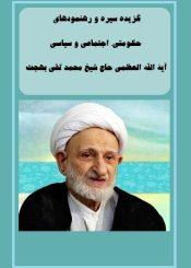 سیره و رهنمودهای سیاسی