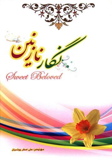 نگار نازنین (مجموعه شش مقاله مهدوی)