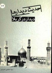 حدیث دیدارها - دیدار در کربلا