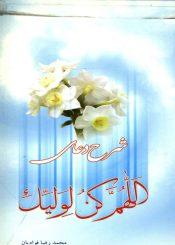 شرح دعای (اللهم کن لولیک...)