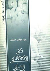 در انتظار بهار - شرحی بر دعای رضویه (۲)
