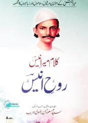 روح انیس، میر انیس کے مرثیے اور سلام