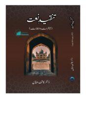 تنقیدِ نعت(تناظرات و امکانات)