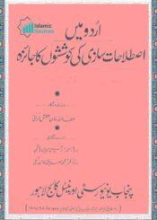 اردو میں اصطلاحات سازی کی کوششوں کا جائزہ