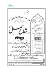 ماہنامہ شعاع عمل اکتوبر-نومبر ۲۰۱۳