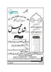 ماہنامہ شعاع عمل نومبر-دسمبر ۲۰۱۲